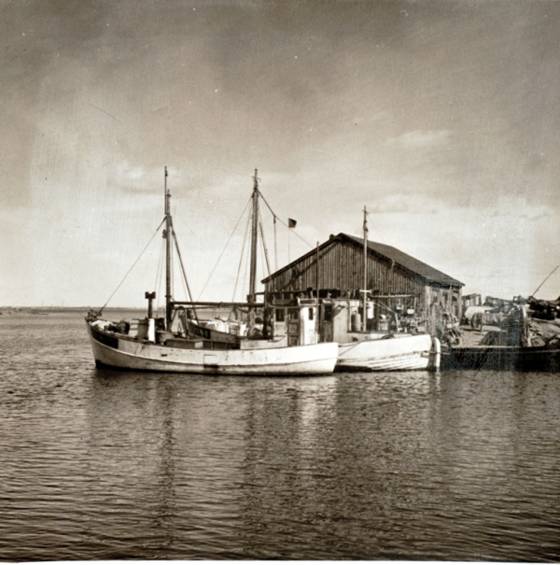 Sumparen 1960-luku (5)