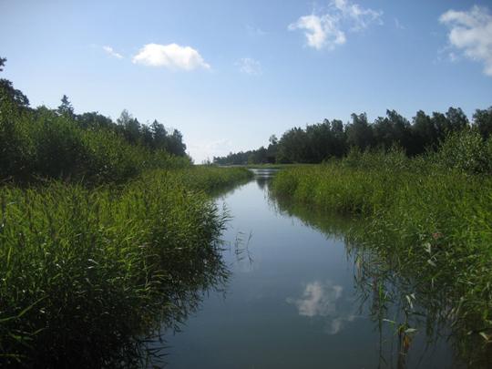 Ruovikkoinen flada Lehtisaarten välissä