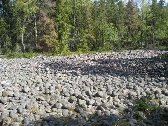 Kivikkoinen ranta